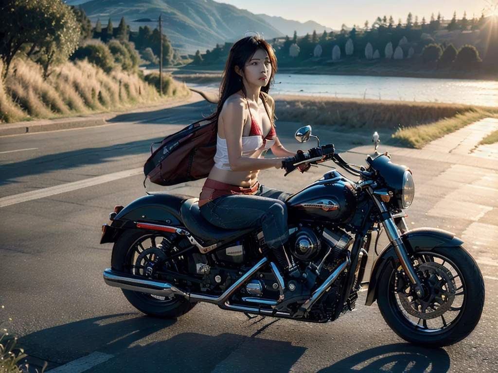 Woman riding a Harley,Long black hair with red highlights, Full Scene Shot, Highest quality, sunset, Step Path, The wind is blowing,Look up at the sky， Beautiful woman, Outdoor Scene, 自然のlandscape, , Umbilical cord prolapse, jeans，Cross Belt、Highly detailed face and skin texture, fine grain,, whole body, Octane Rendering,Two-tone lighting,wide aperture,Low ISO,White balance, Driving a classic motorcycle, landscape