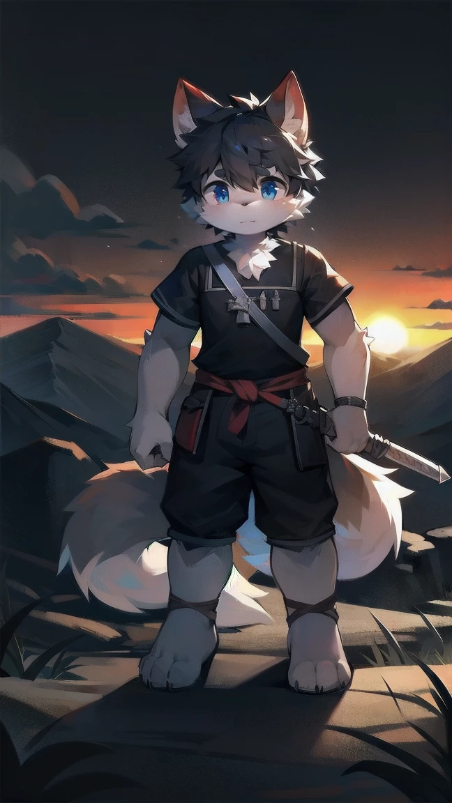 White Wolf，black hair，Sky blue eyes，hairy，Wolf ears，Wolf tail，Full body portrait，The character is in the center of the frame，Handsome，Confident eye***but，juvenile，Black and white combat uniform，Red neck bib，Black shorts，Short sleeve，hairy arms and legs，Dark background，Dark battlefield，dawn，sunrise，dawn，illumination，shadow，Swordsman，Scabbard and Hold the hilt of a in your hand，The scabbard is at the waist，Highest quality