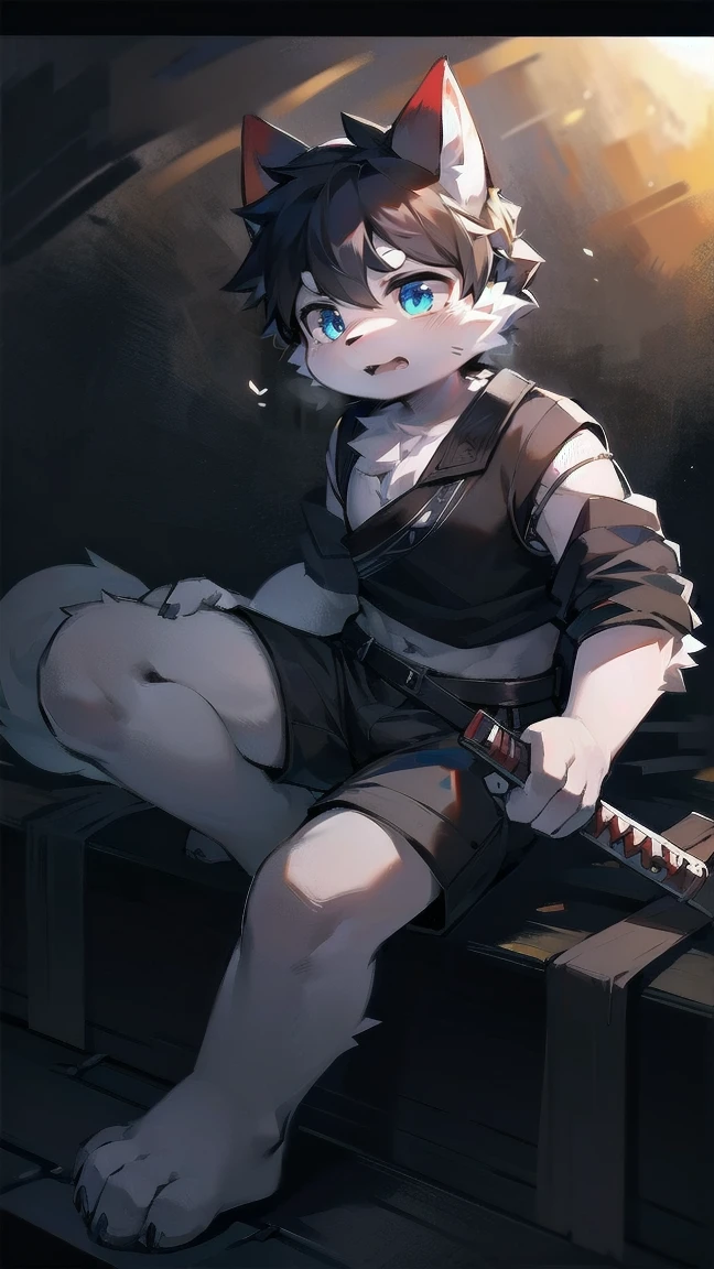 White Wolf，black hair，Sky blue eyes，hairy，Wolf ears，Wolf tail，Full body portrait，The character is in the center of the frame，Handsome，Confident eye***but，juvenile，Black and white combat uniform，Red neck bib，Black shorts，Short sleeve，hairy arms and legs，Dark background，Dark battlefield，dawn，sunrise，dawn，illumination，shadow，Swordsman，Scabbard and Hold the hilt of a in your hand，The scabbard is at the waist，Highest quality