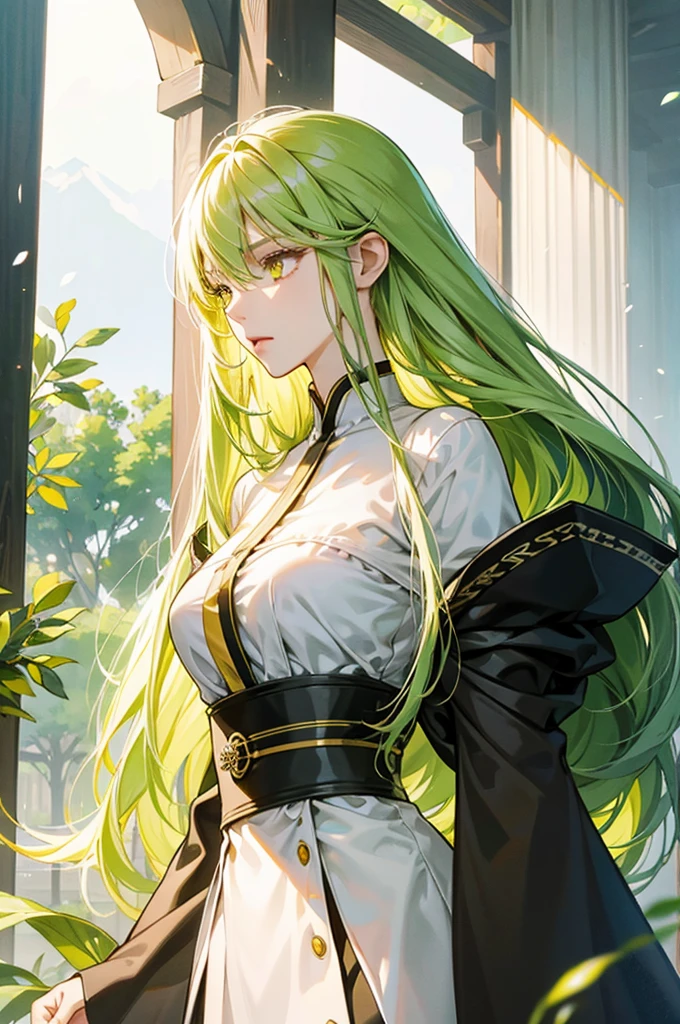 A mature and calm lady、tall、Long limbs、solo、Mouth open、Yellow-green long hair、Yellow Eyes、anime