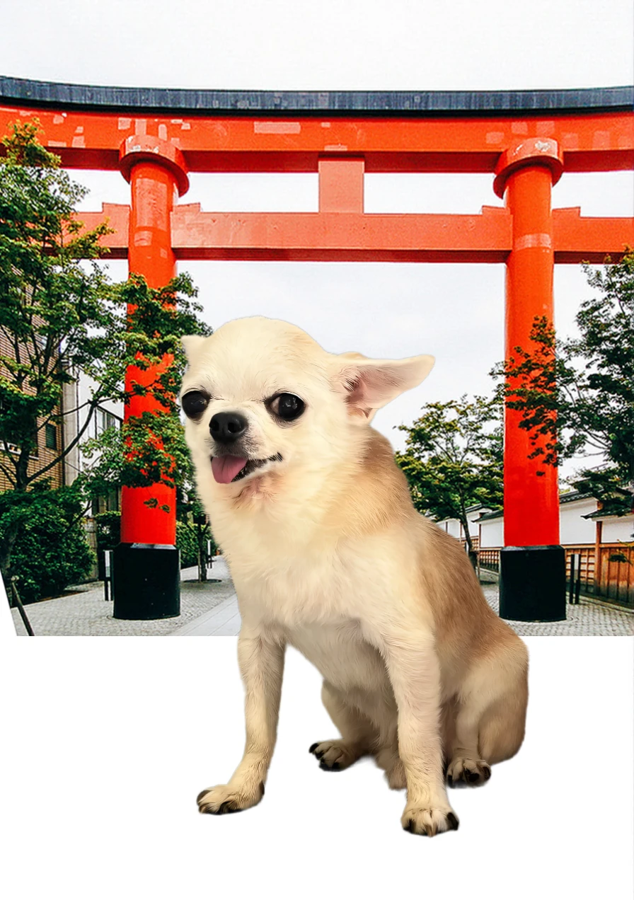 fix background