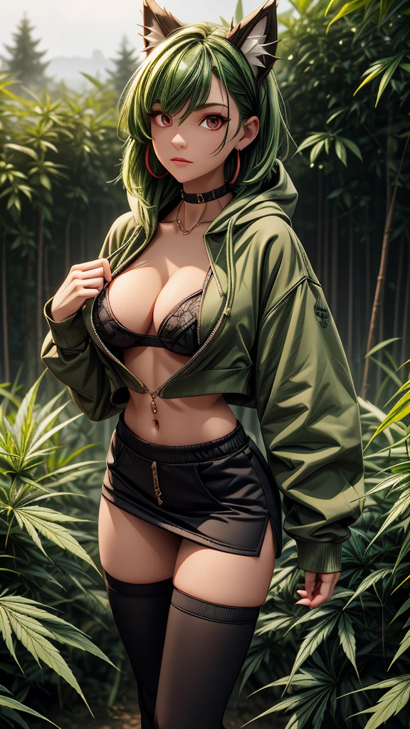, Croped, , cleavage, slim waist, cropped hoodie underboob, cropped hoodieunderboobhoodie, 1girl, 2 wolf ears, wolf tail, marijuana crop hoodie, crop shorts, marijuana hoodie, spiky hair, spiky fur, green hair, red eyes,marijuana field, tight clothes, perfect eyes, perfect hands, clear resolution, full body, cleavage skin, marijuana plants, open hoodie, marijuana scenery, black thigh high socks, full body, earrings, 1girl, skirt, cleavage, slim waist, cleavage, slim waist, hair pulled back,