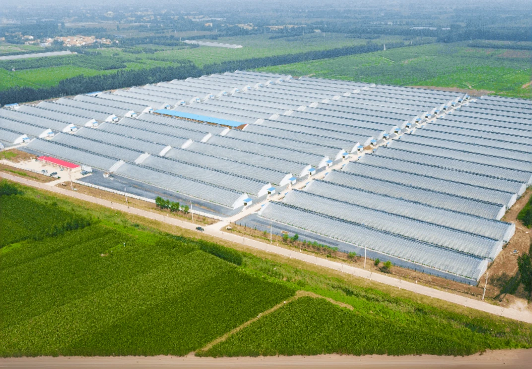 arafed industrial area with rows of greenhouses and a road, huge greenhouse, desert white greenhouse, glass greenhouse, solar field plains, hydroponic farms, greenhouse, greenhouse in the background, solar, immaculate rows of crops, aerial shot, wide view of a farm, wide aerial shot, as far as the eye can see, aerial, green house