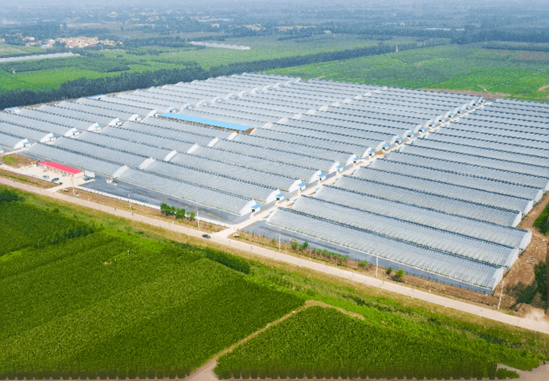 arafed industrial area with rows of greenhouses and a road, huge greenhouse, desert white greenhouse, glass greenhouse, solar field plains, hydroponic farms, greenhouse, greenhouse in the background, solar, immaculate rows of crops, aerial shot, wide view of a farm, wide aerial shot, as far as the eye can see, aerial, green house