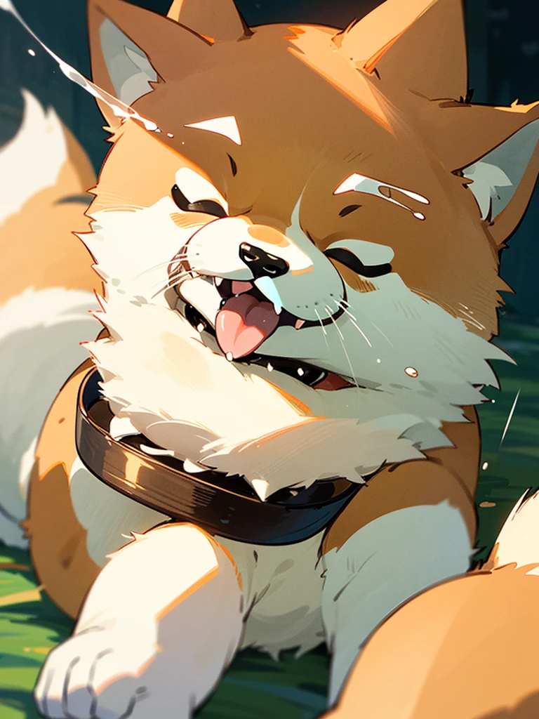 Highest Resolution,Highest quality,Shiba Inu,可愛いShiba Inu,Fluffy,Eating bait,smile,Drooling,Dripping saliva,Overflowing dripping,Iyashiba dog,