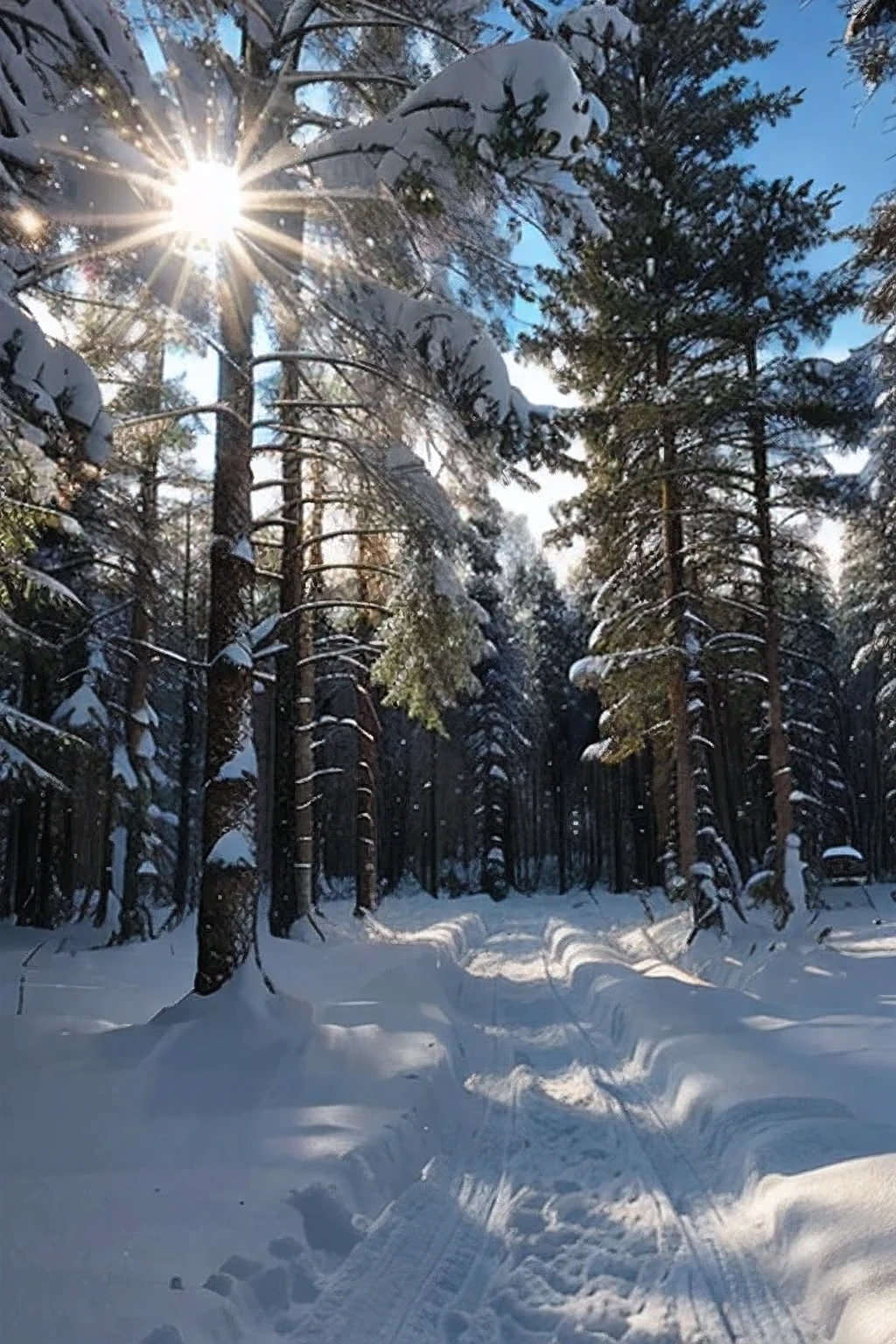 Epic snowy Forest with sun wo come troh the Forest fantasy forest
