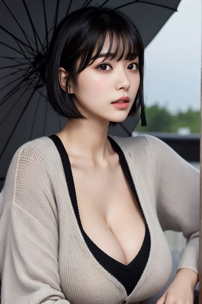 (highest quality),one girl,Japanese,Huge breasts,Cleavage,Short Hair,Straight hair,Black Hair,bangs,park,sweater,sweating,Person with an Umbrella