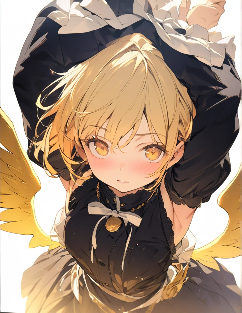 masterpiece Golden Wings