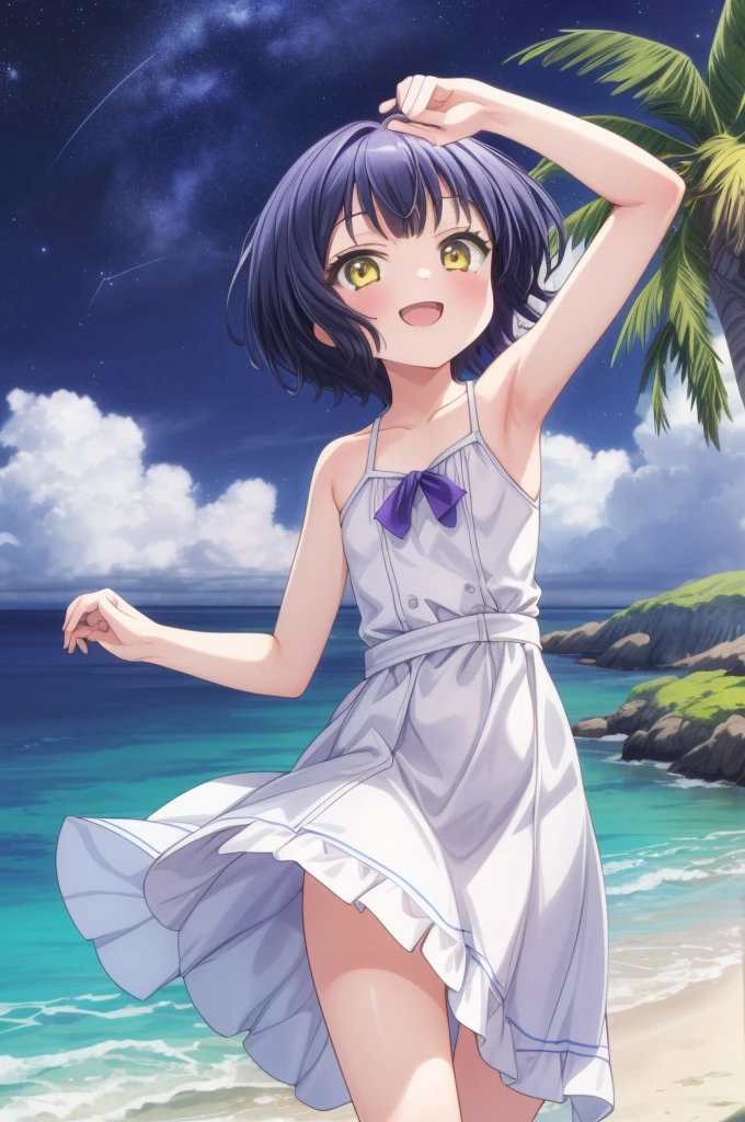 masterpiece,best quality,1girl,solo,jouga maya, blue shorthair,1girl,(petite),smile,close up,small breasts,white summer dress,white long skirt,dark night,,palm tree,night,galaxy,looking up viewer,beach, (((nsfw)))