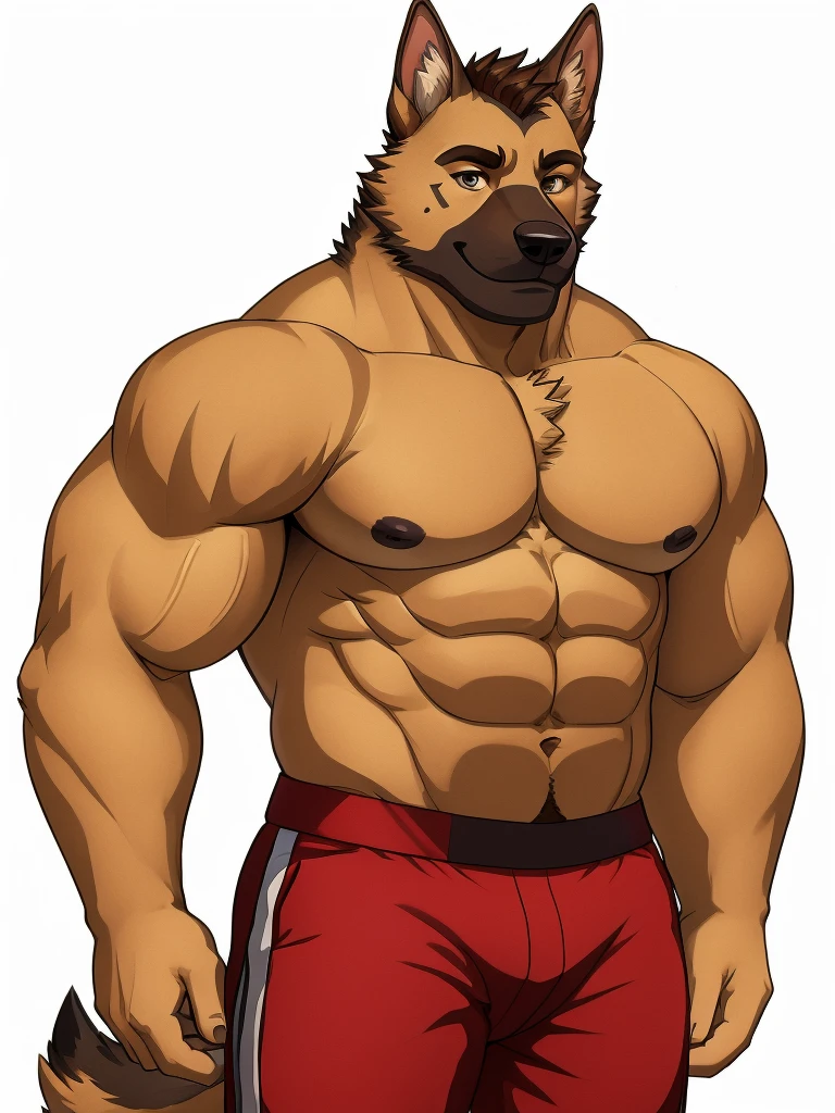 (masterpiece, 4K, ultra detailed), Coach Gil, dog furry, german shepherd, single, masculine, sexy, muscular, smooth shading, simple white background, shirtless, red shorts, realistic, brown detailed eyes