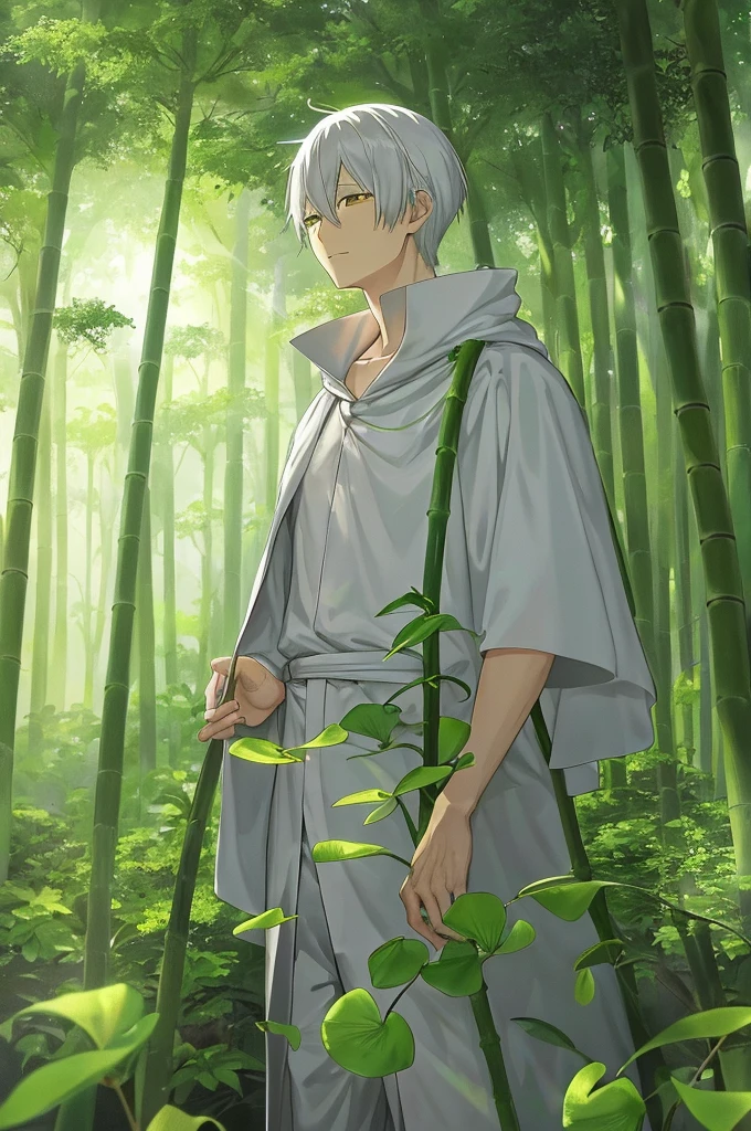 Ginko from "Mushishi" standing in a lush, mysterious forest filled with ethereal light and ancient trees. He is wearing his signature white cloak over a black shirt and pants, with a satchel slung over his shoulder and a bamboo hat hanging from his back. His silver hair contrasts with the natural surroundings, and he has a calm, thoughtful expression as he observes the mystical mushi around him. The background features a serene forest with soft, glowing lights and otherworldly plants, capturing the tranquil yet enigmatic atmosphere of the Mushishi world.