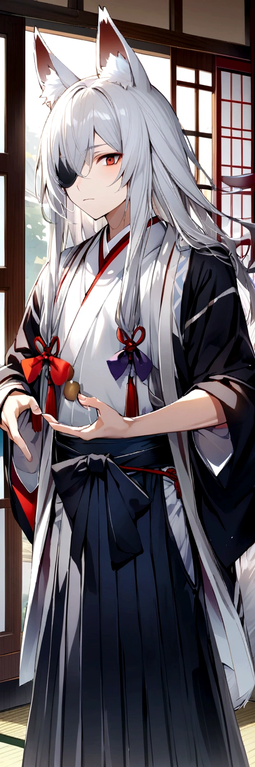 male、youth、Fox、Animal Ears、Silver Hair、Long Hair、One knot、One-eyed、Japanese style、Hakama、bow