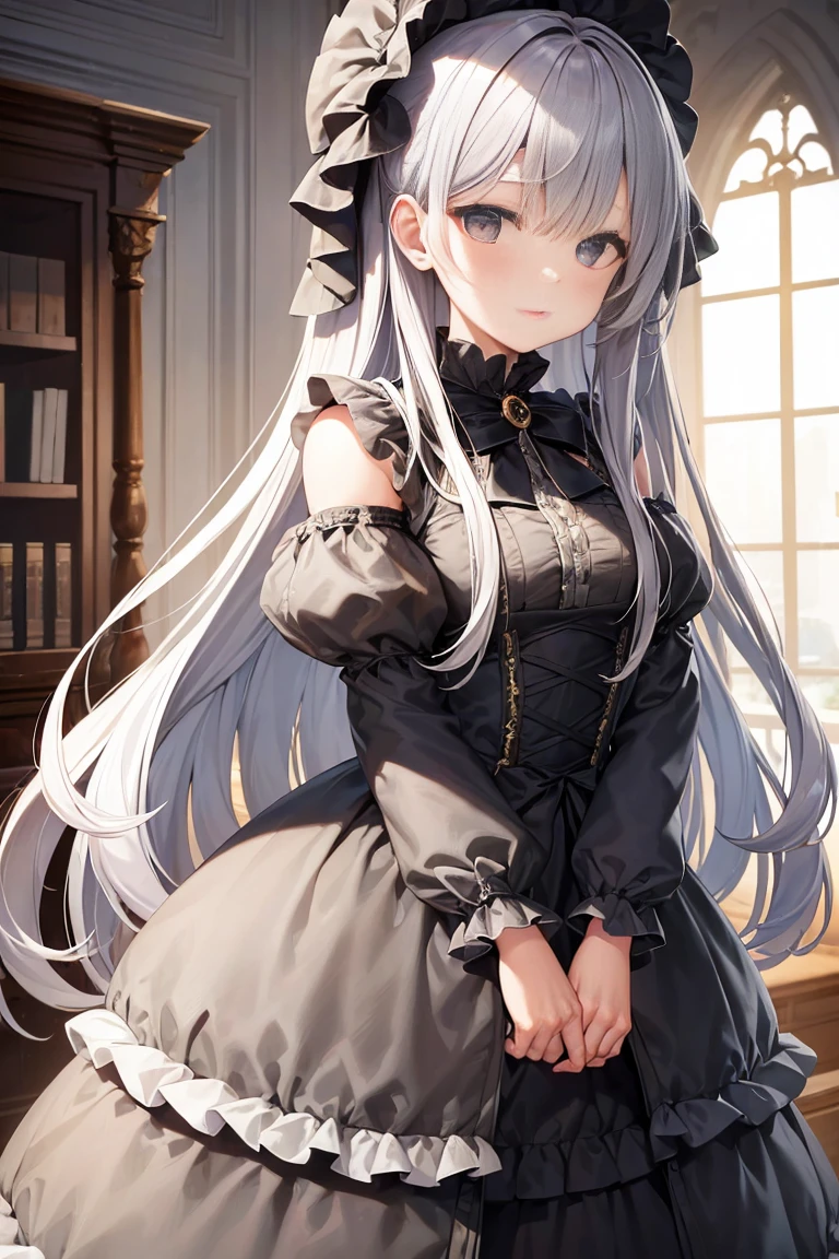 (high quality),(Exquisite),(Perfect picture quality),perfect quality,Gray long hair,Girl,Baroque costumes,Stacked dress with ruffles,Pretty face