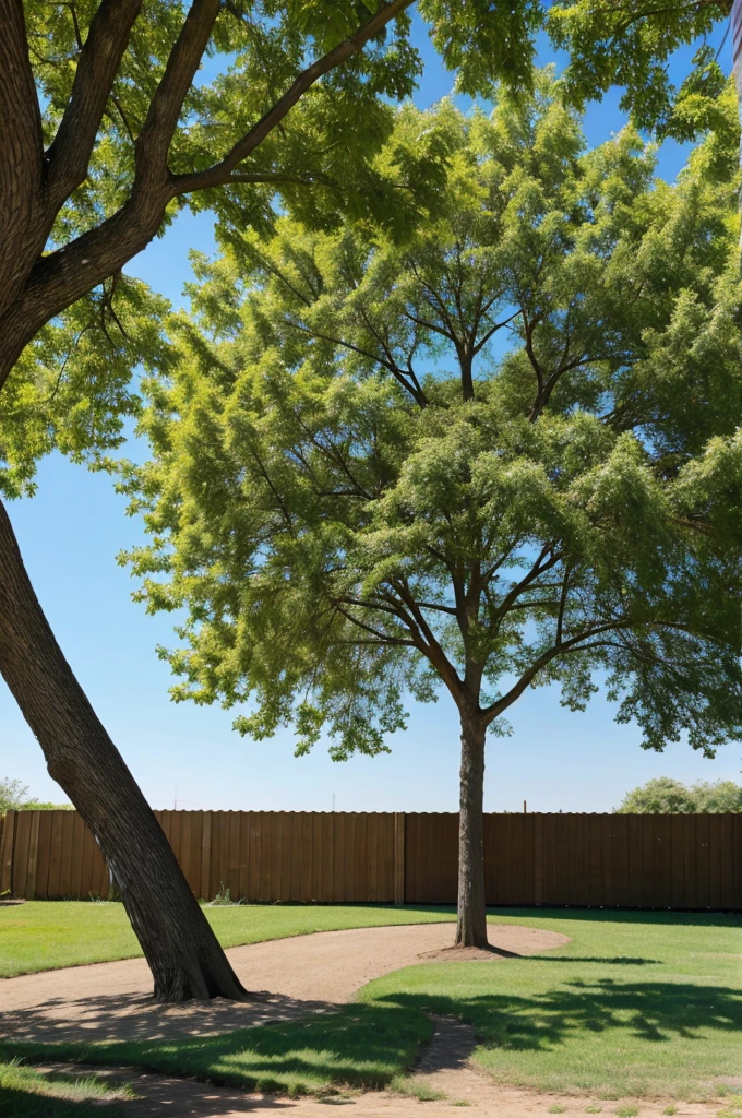 Peeple tree