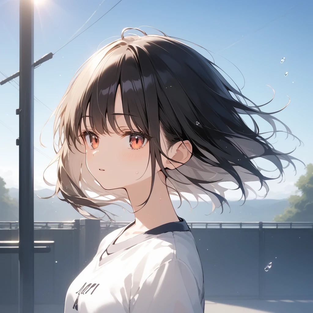 score_9, score_8_up, score_7_up, source_anime, best quality, masterpiece, official art, absurdres, highres, ultra-detailed,waifu2x,Collection: Slice of Life,break,1girl, 15-year-old, short hair, black hair, small breasts, beautiful detailed eyes, well-proportioned iris and pupils, parted lips, beautiful detailed lips, gym uniform, byke shorts, sweat, expressionless, sleepily, School ground, outdoors, wind, break,(clear line illustration:1.2),very high resolution, very aesthetic, super detailed skin, Best cinematic lighting powered by famous artist, 8k, beauty illustration,photoshop_(medium),,(Detailed Lighting),best anime 8k konachan wallpaper, pixiv contest winner,