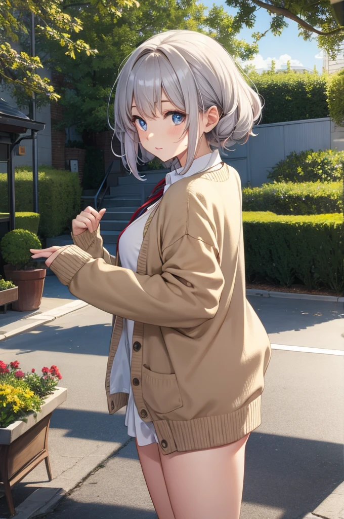 cardigan