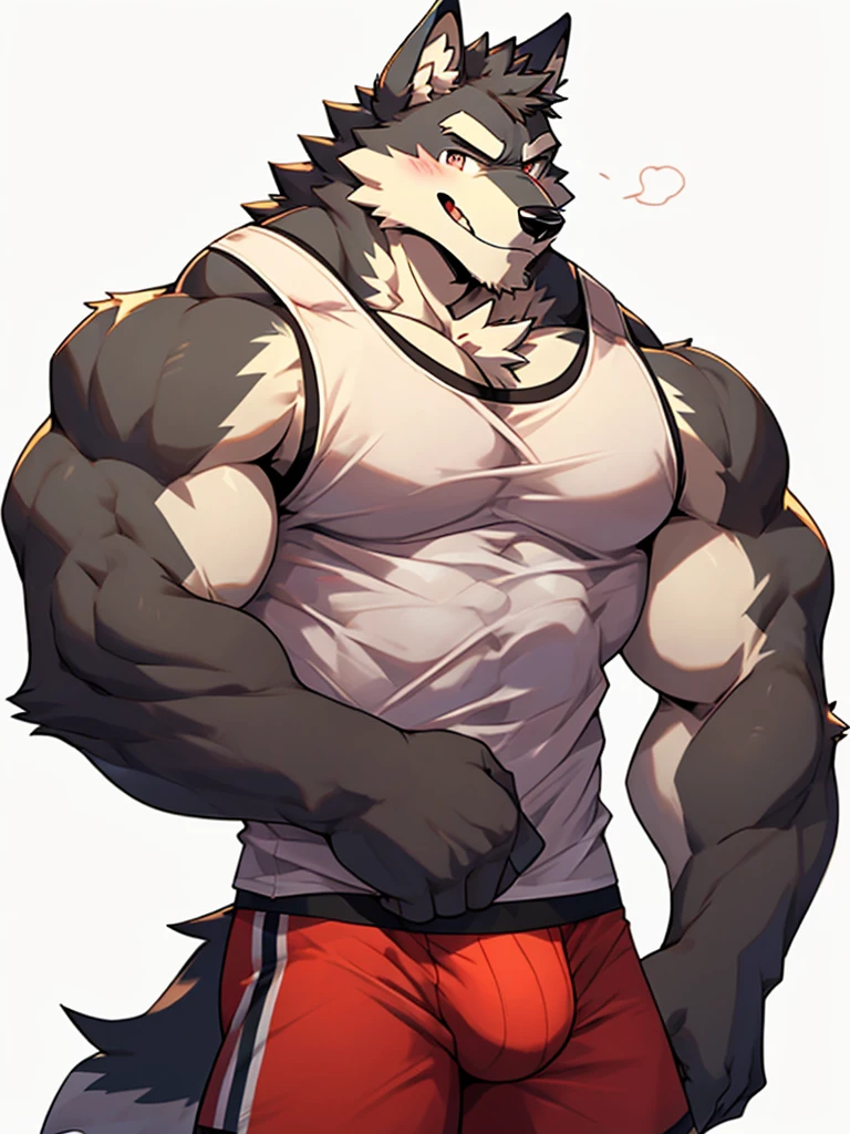 white background, hands on back, Furry, wolf, male, muscular, muscles, thick eyebrows, wearing tank top, wearing boxer briefs, look at viewer, blushing, shy, smiling, happy