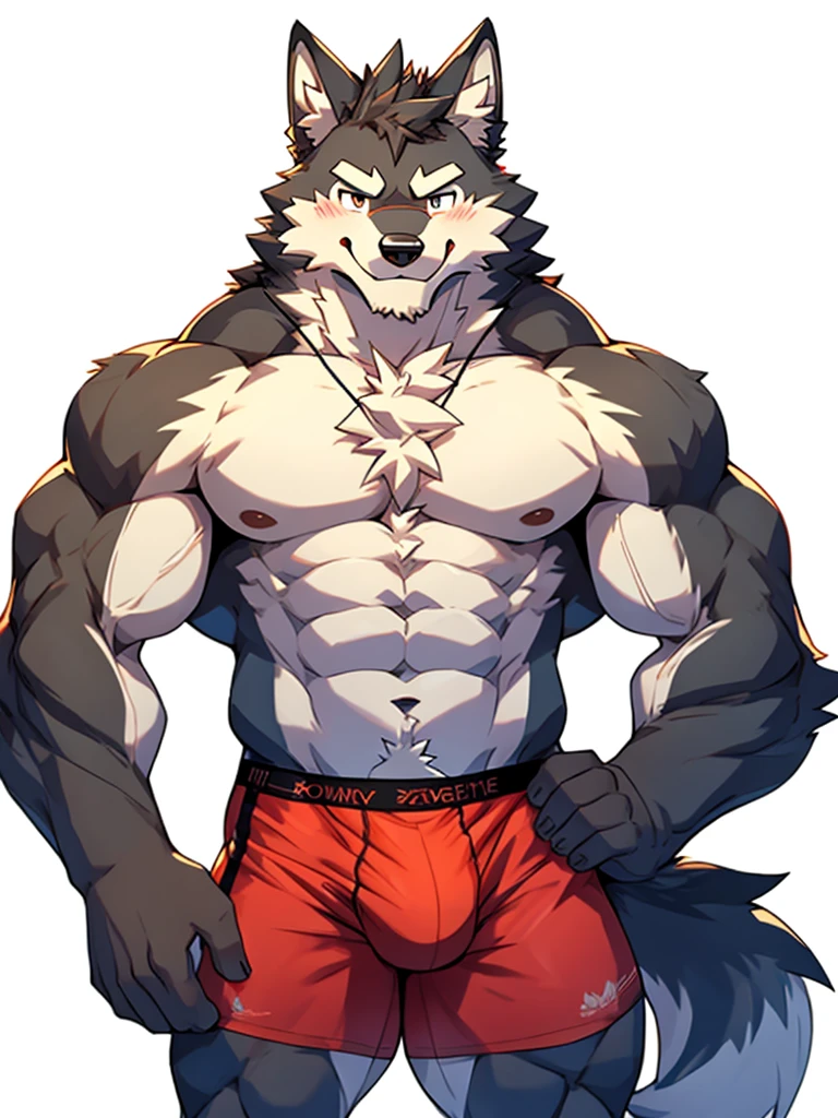 front view, white background, hands on ????, Furry, wolf, male, muscular, muscles, thick eyebrows, shirtless, wearing boxer briefs, look at viewer, blushing, shy, smiling, happy