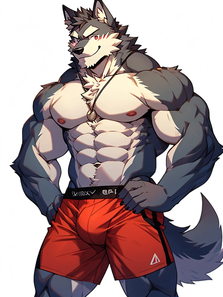 front view, white background, hands on hips, Furry, wolf, male, muscular, muscles, thick eyebrows, shirtless, wearing boxer briefs, look at viewer, blushing, shy, smiling, happy