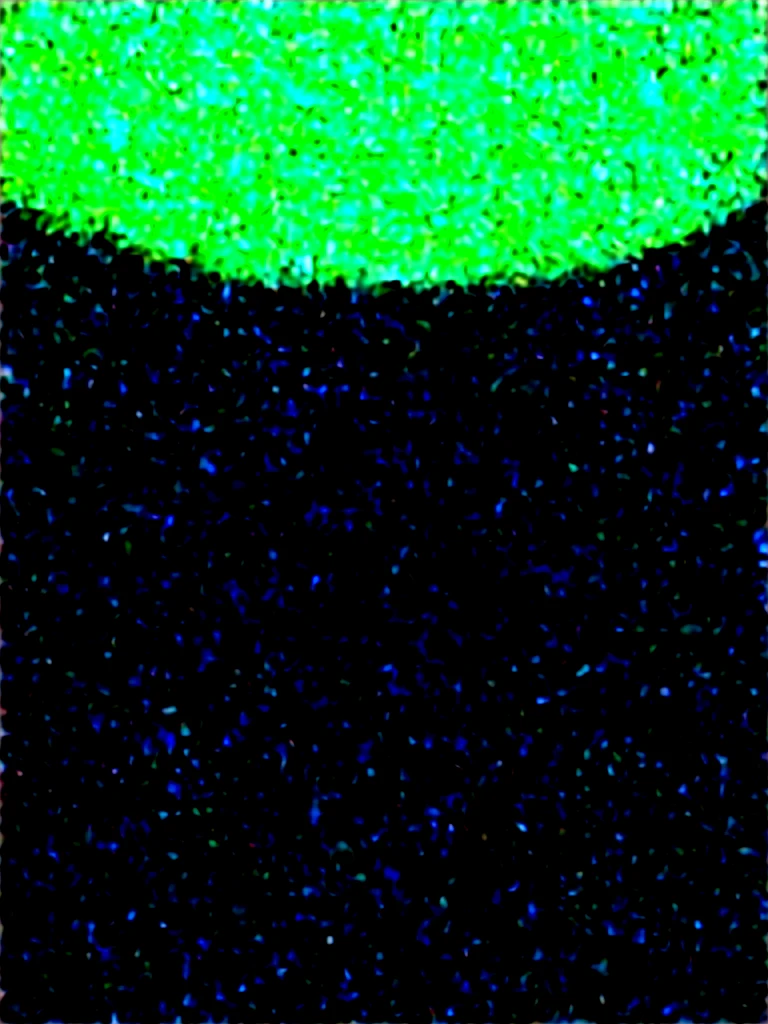 Daffy duck, black duck, nature background 