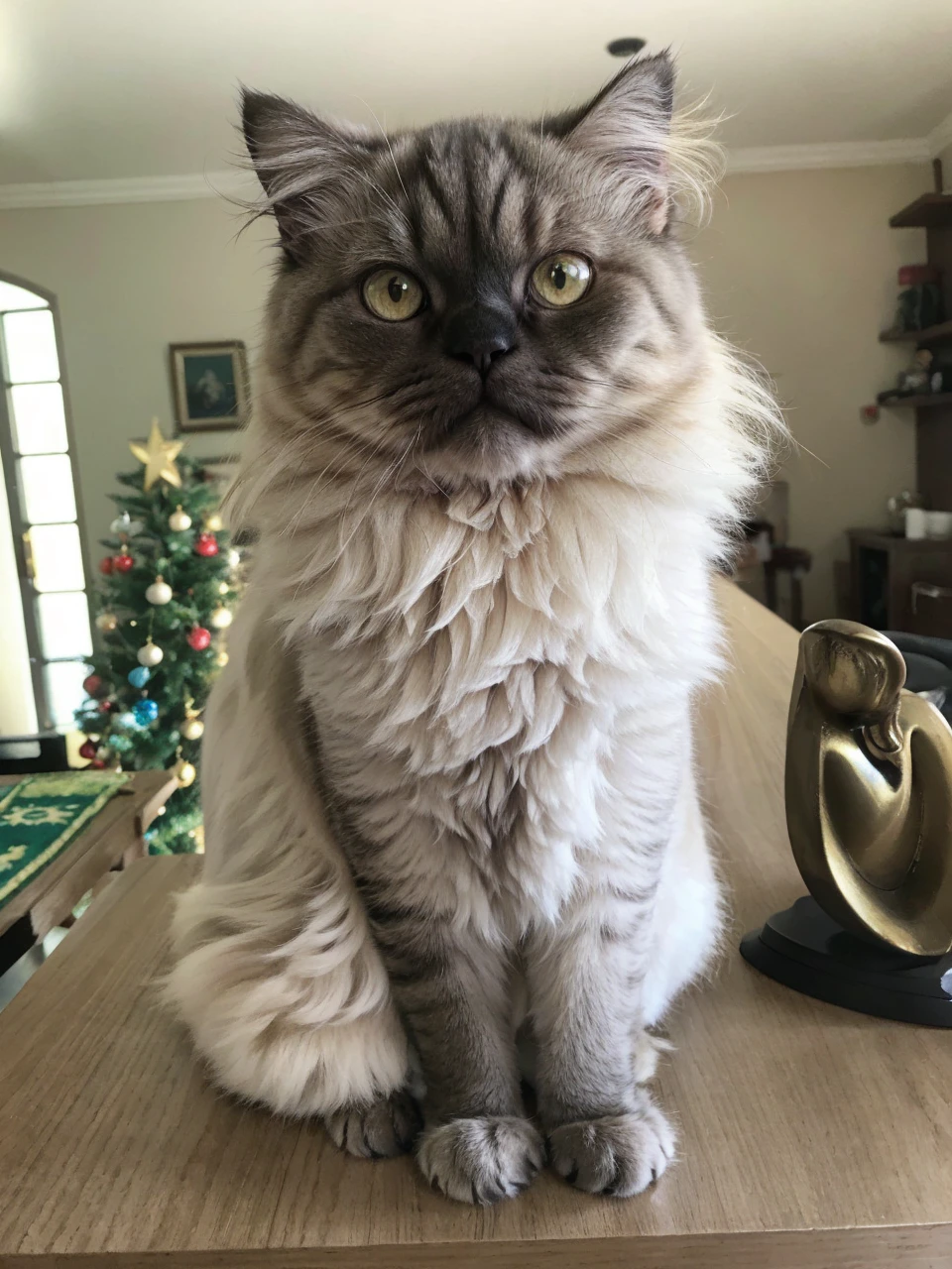Persian cat, slightly flattened snout, dark gray coat with white roots, honey-colored eyes, easy expression slightly angry, dolce, disney animation, 9 anos, medium size fur, desenho animado fofo, meio arredondado, fundo estrelas espaciais