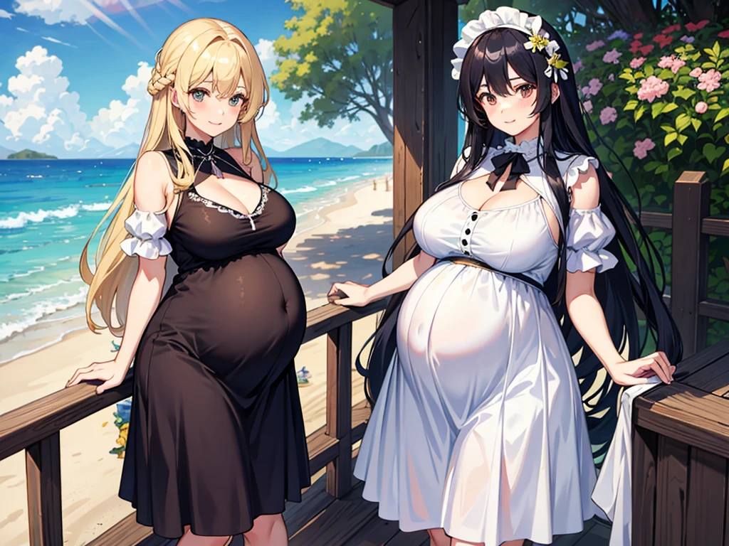 2 Girls,seaside、Dress,Long hair,Huge breasts,Pregnant