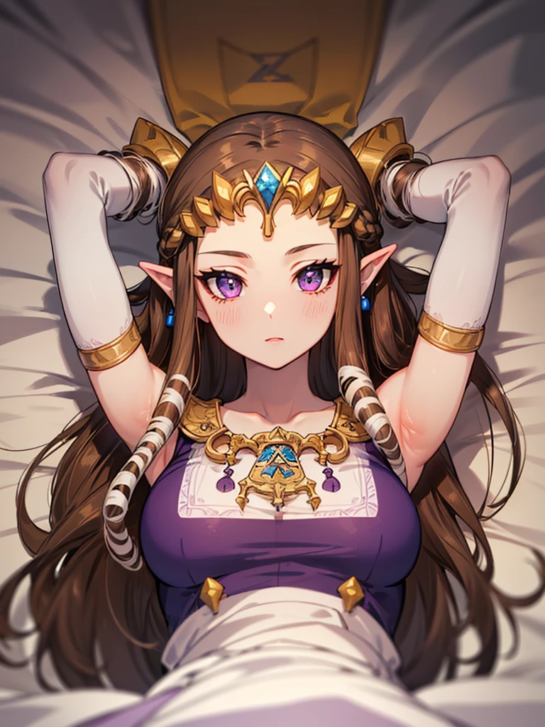 ((((((Arms above head)))))),((Princess Zelda)),((the legend of zelda)),((Front face)),((upper body)),Anime art style,masterpiece,(Dark brown hair), (Very detailed),(Very delicate and beautiful),(((((alone))))),((((pov)))),(Detailed face and eyes),Beautiful eyes like jewels,(Purple blouse),(Queen))),((1 Queen in a beautiful)),((crinoline)),(((Long Straight Hair))),(Very beautiful mature woman),,length_gloves,hair accessory,Sparkling,((Lying in bed))