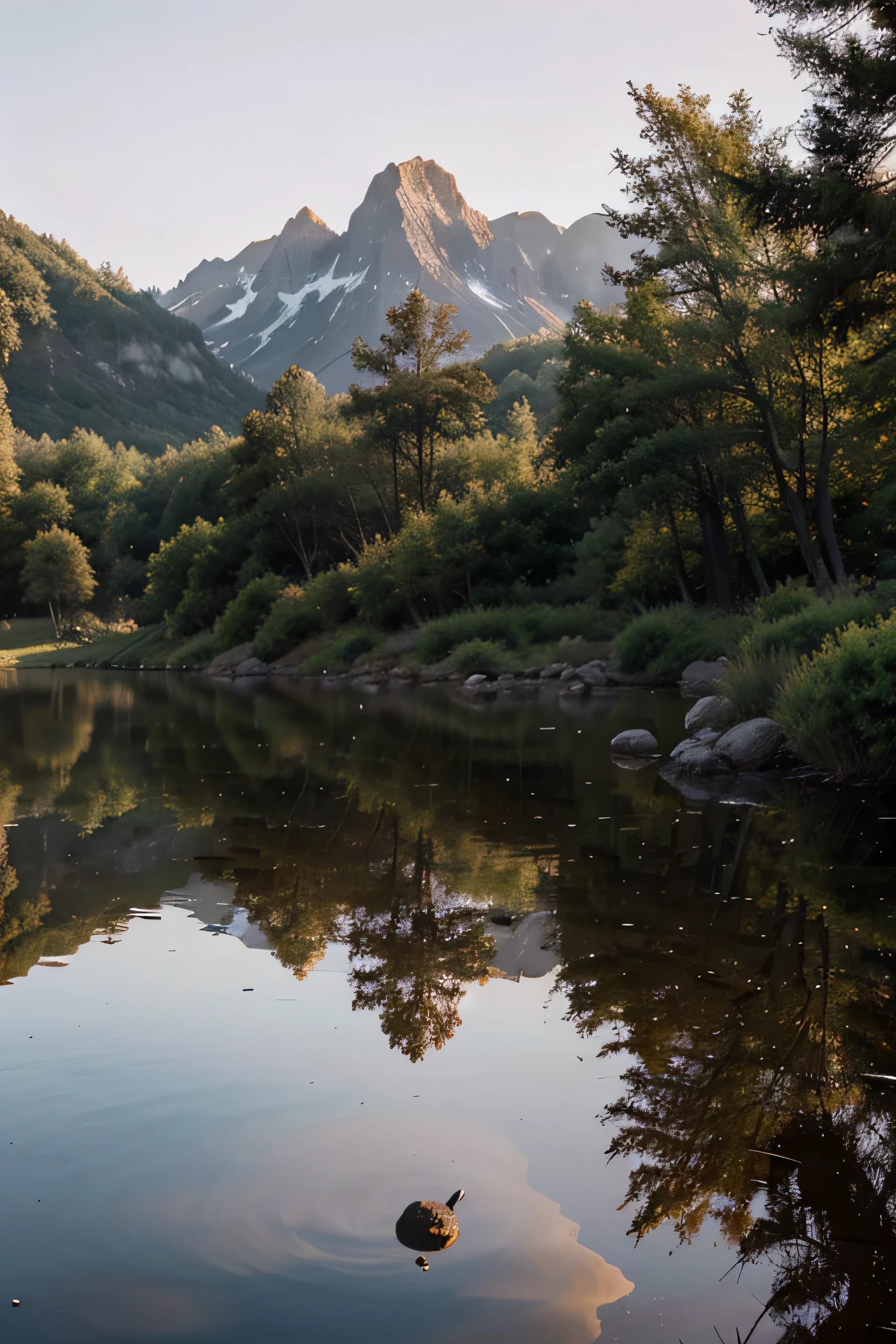Mystical Reflections