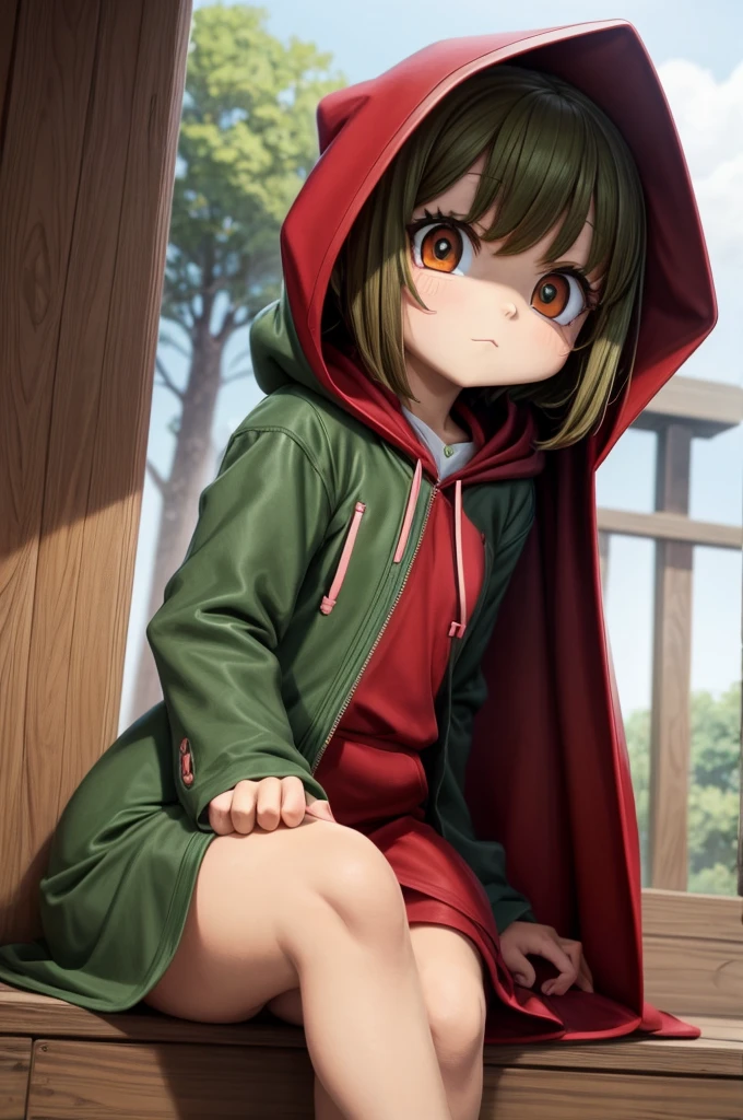 8  girl with brown eyes with red hooded cape and green dress in cartoon style mixed with anime.