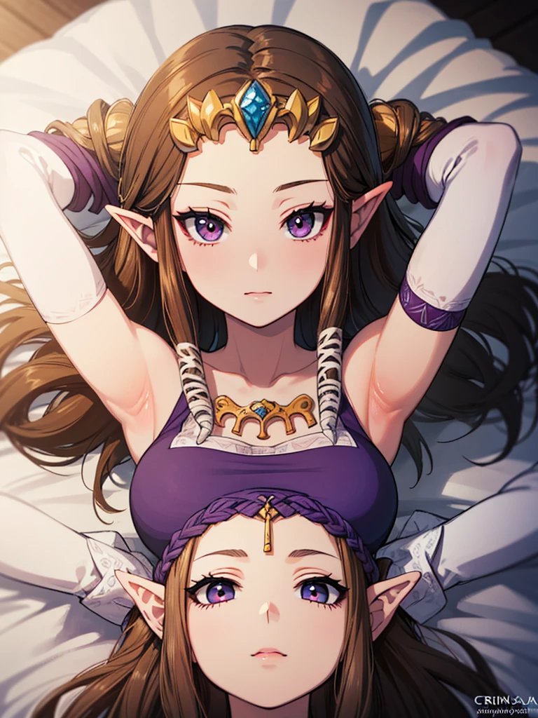 ((((Very delicate and beautiful face)))),((((((Arms above head)))))),((Princess Zelda)),((the legend of zelda)),((Front face)),((upper body)),Anime art style,masterpiece,(Dark brown hair), (Very detailed),(Very delicate and beautiful),(alone),((((pov)))),(Detailed face and eyes),Beautiful eyes like jewels,(Purple blouse),((crinoline)),(((Long Straight Hair))),(Very beautiful mature woman),,length_gloves,,((Lying in bed))