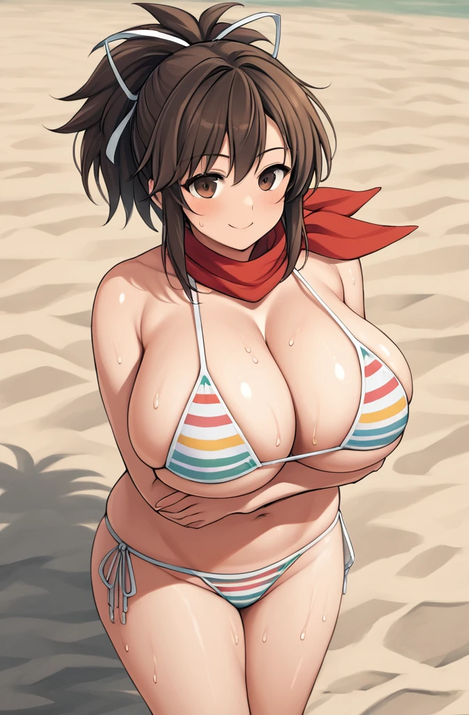 anime artwork score_9, score_8_up, score_7_up, score_6_up, score_5_up, score_4_up, source_anime, BREAK, thick outline, fat outline,
Asuka_XL, brown eyes, brown hair, ponytail, white ribbon, red scarf, gigantic breasts, BREAK, asuka_swim_outfit, striped bikini, side-tie bikini bottom,  BREAK, crossed arms, field, beach, sweat, wet skin, wet closing, wet hair, BREAK, blush smile, 