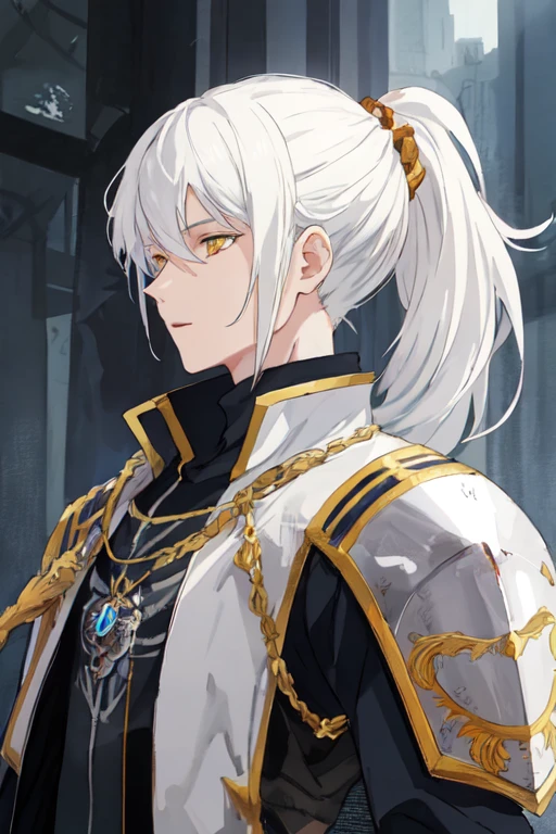 masterpiece, anime style, best quality, portrait, 1boy, white hair, amber eyes, ponytail, knight