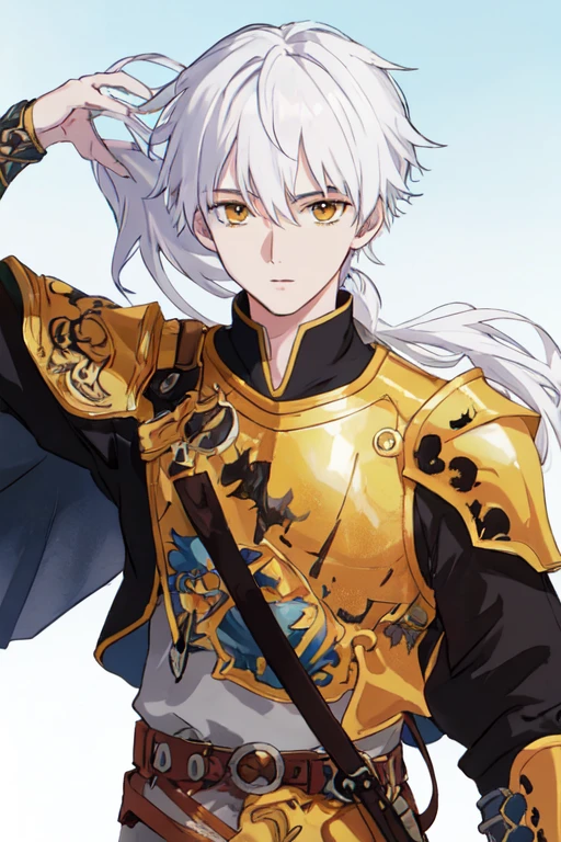 masterpiece, anime style, best quality, portrait, 1boy, white hair, amber eyes, low ponytail, knight