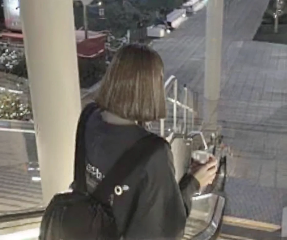 Japanese black hair her I can't see your face overall blurry back view back hair only background night road boyfriend's perspective The whole body is reflected short sleeve long skirt