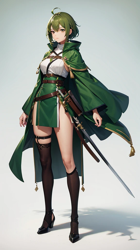 Green Hair, Brown robes, Female Swordsman, tall, Full body side view, View Viewer, Pure white background