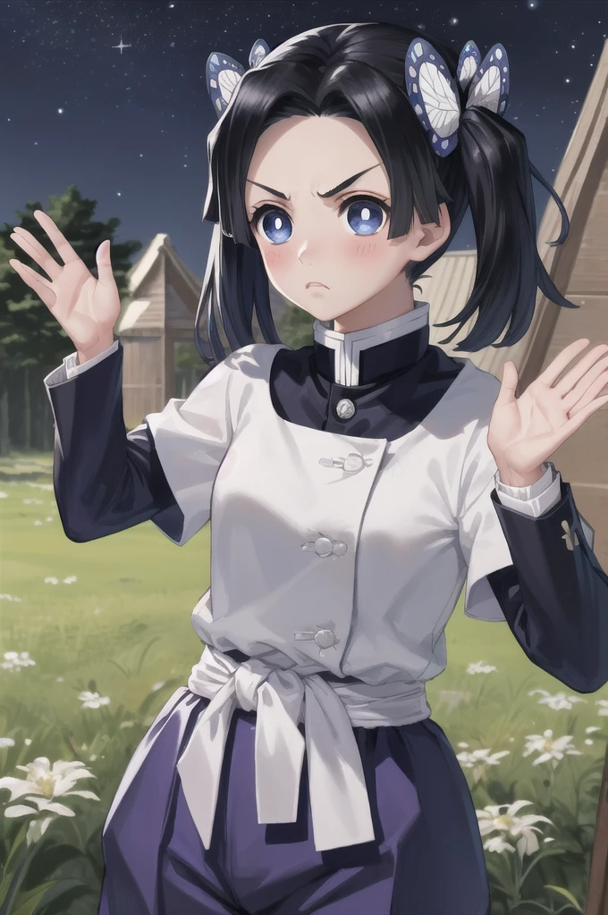 masterpiece, best quality, highres,
AoiDef, 1girl, solo, breasts, blush, short hair, bangs, blue eyes, black hair, hair ornament, twintails, v-shaped eyebrows, parted bangs, frown, bright pupils, white pupils, butterfly hair ornament, kanzaki aoi \(kimetsu no yaiba\), 
long sleeves, dress, white dress, jacket, short sleeves, white dress, layered sleeves, short over long sleeves, purple pants, demon slayer uniform, kimetsu no yaiba,
upper body, waving, waving arms, outdoors, forest, field, night, night sky, darkness, starry sky, 