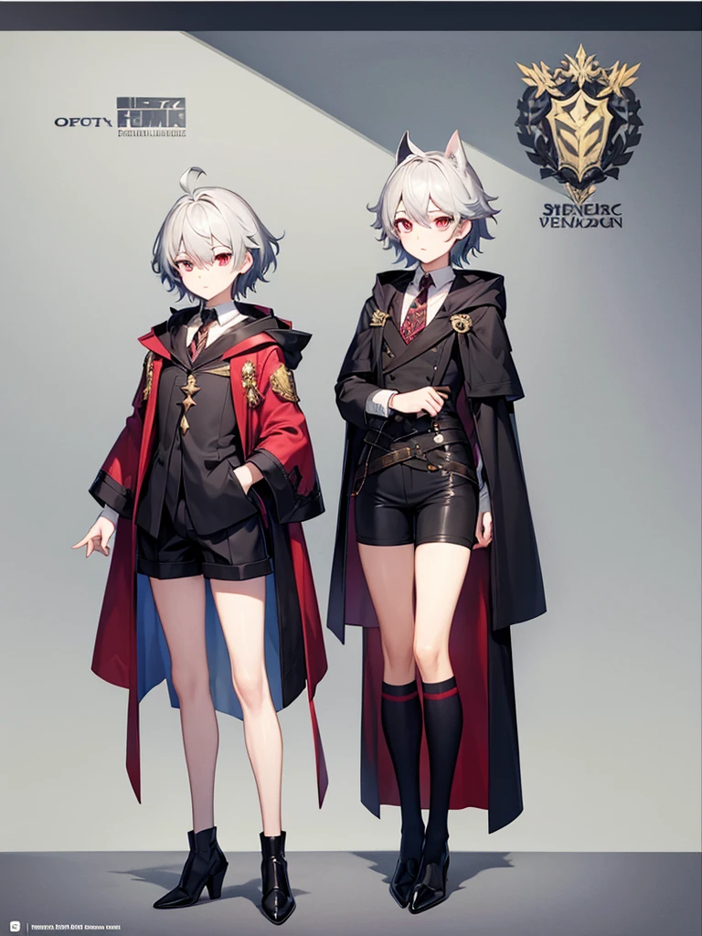 Femboy, off the sholder coat, short pants, wizard, full body, concept art 