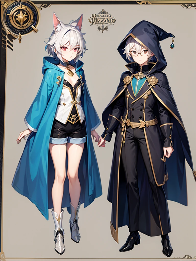 Femboy, wizard coat, short pants, wizard, full body, concept art 