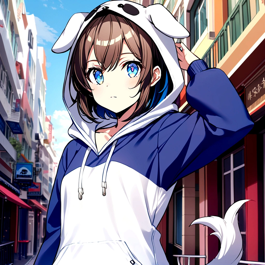 A cutie patootie, dog hoodie, favorite color is blue