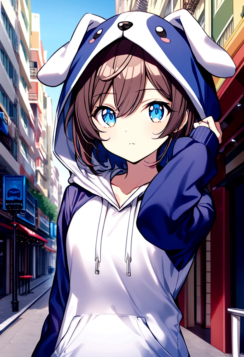 A cutie patootie, dog hoodie, favorite color is blue, male