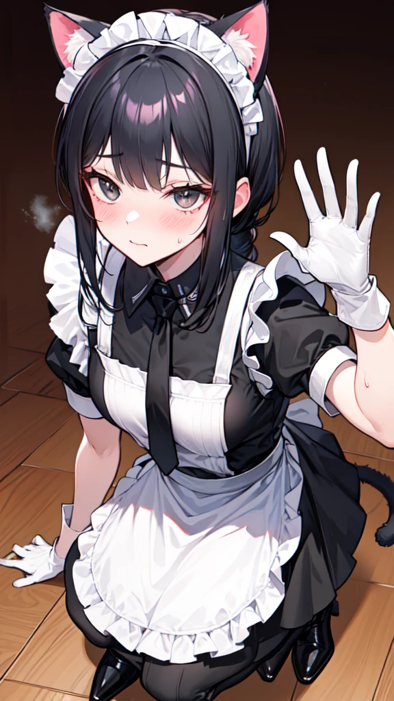 18-year-old boy,cute,Wear the maid outfit and a black work tie,Wear a maid hat,Wear cat ears,Wear black pants,Wear black booties,Wear white gloves,Black hair,Black eyes,blush,sweat,porn pose
