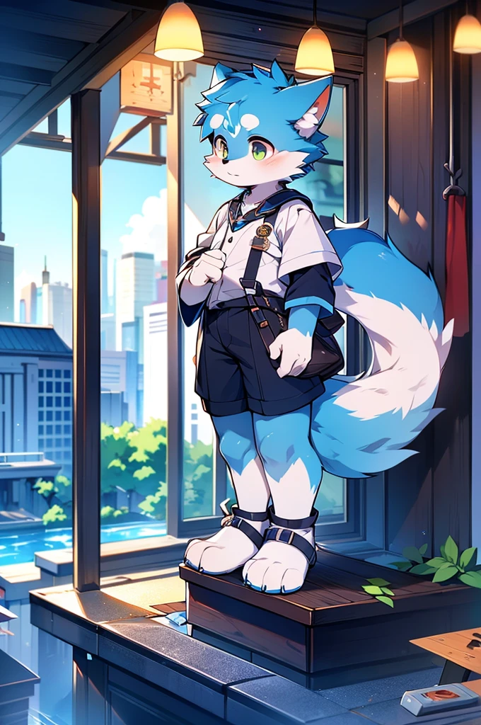 Blue fur, Canine, fox motif, boy, uniform,expensive,One person,Stand up on your own feet,背がexpensive,Cityscape,