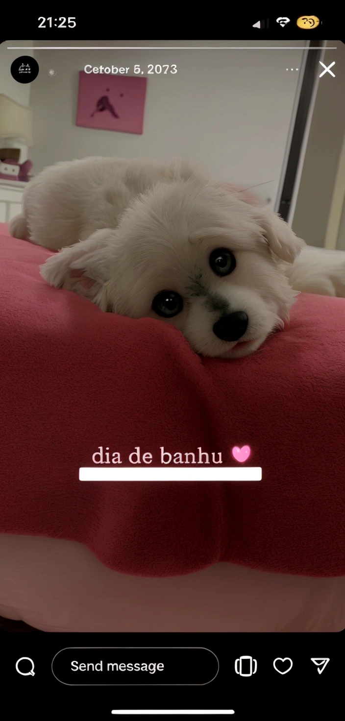 a white dog, lying on a pink bed with a cute and calm look