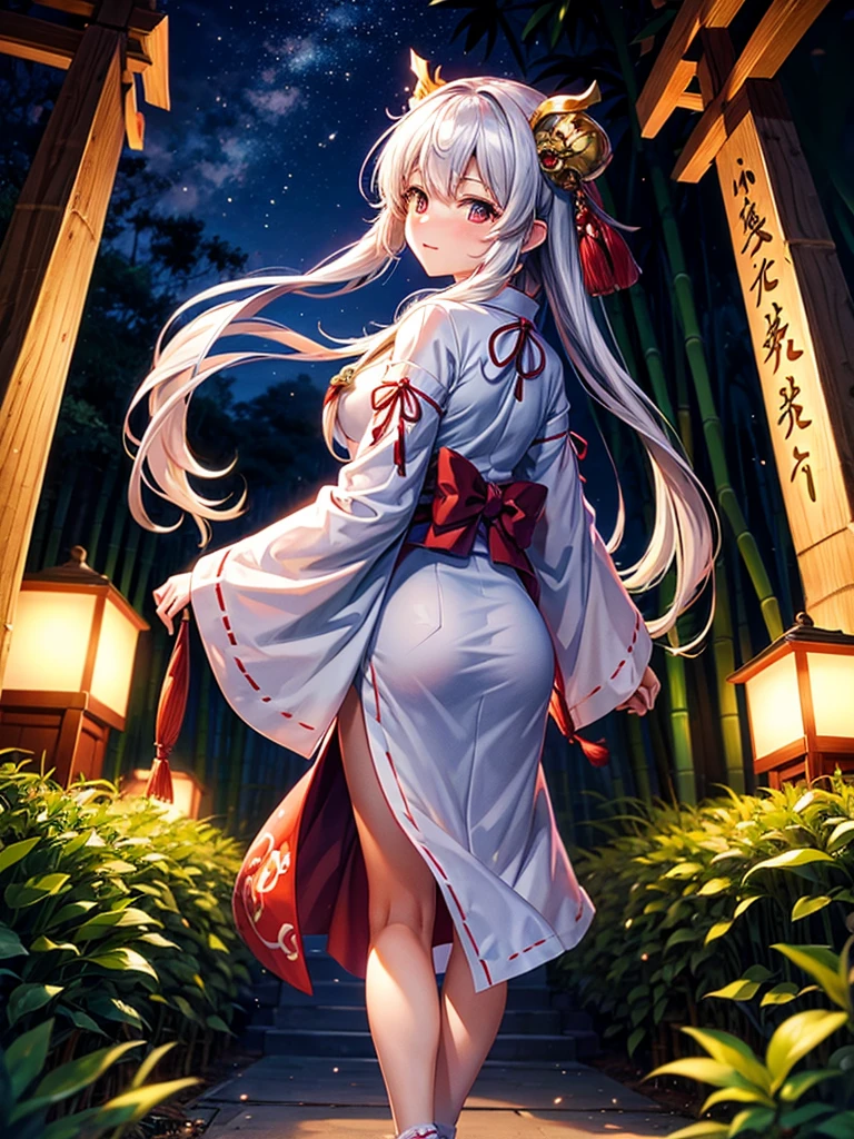 Highest quality,Highest Resolution,Shrine maiden in the shrine grounds,Bamboo bushes at night,
