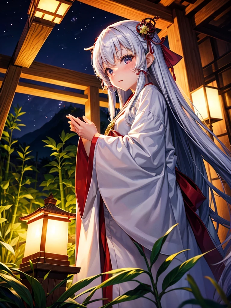 Highest quality,Highest Resolution,Shrine maiden in the shrine grounds,Bamboo bushes at night,