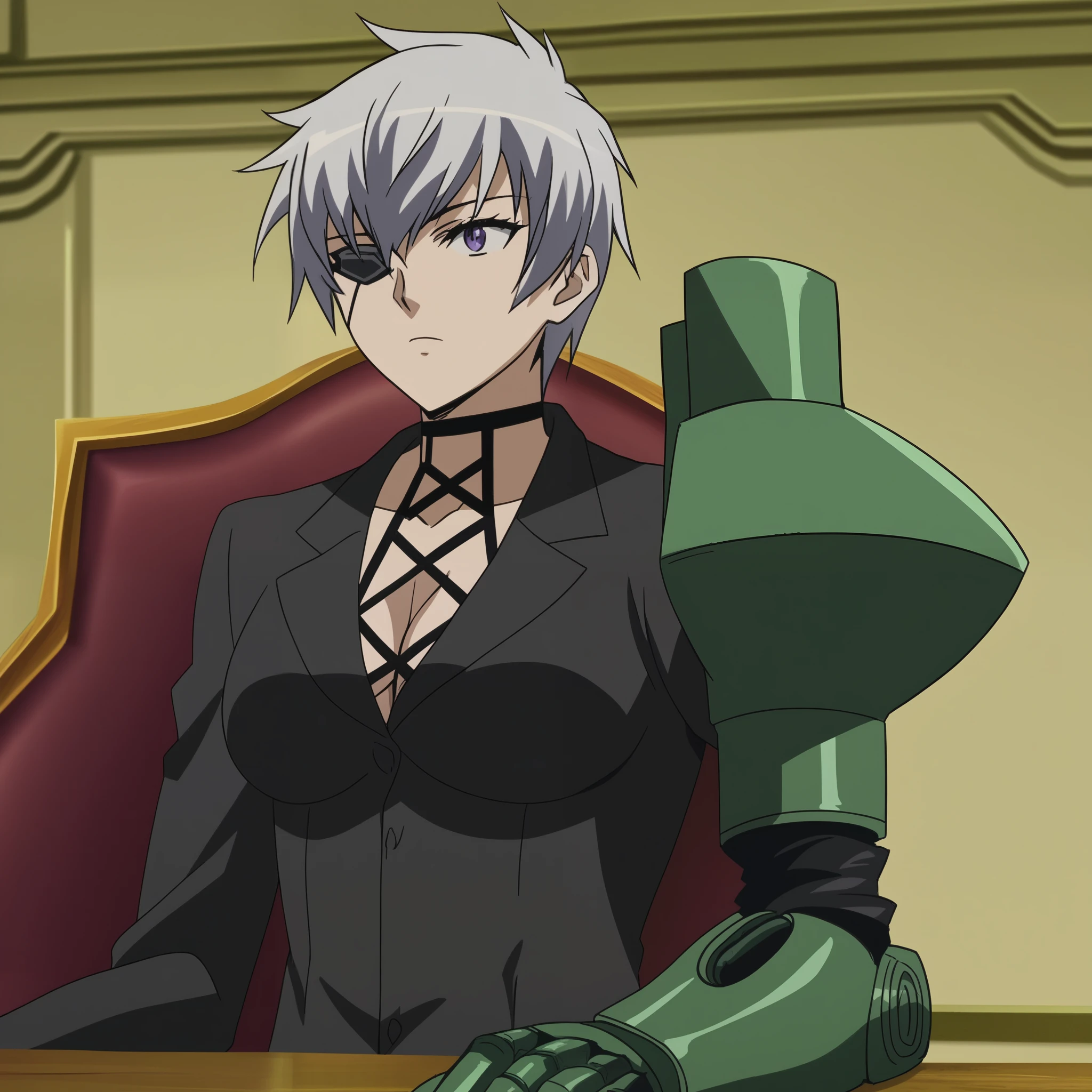 score_9, score_8_up, score_7_up, source_anime, anime screencap, 1girl, solo,
agknajenda,
najenda, short hair, purple eyes, grey hair, eyepatch,
cleavage, formal, suit, cyborg, single mechanical arm, prosthesis, long sleeves, pants, black pants, armor, shoulder armor, gauntlets, upper body, looking at viewer,