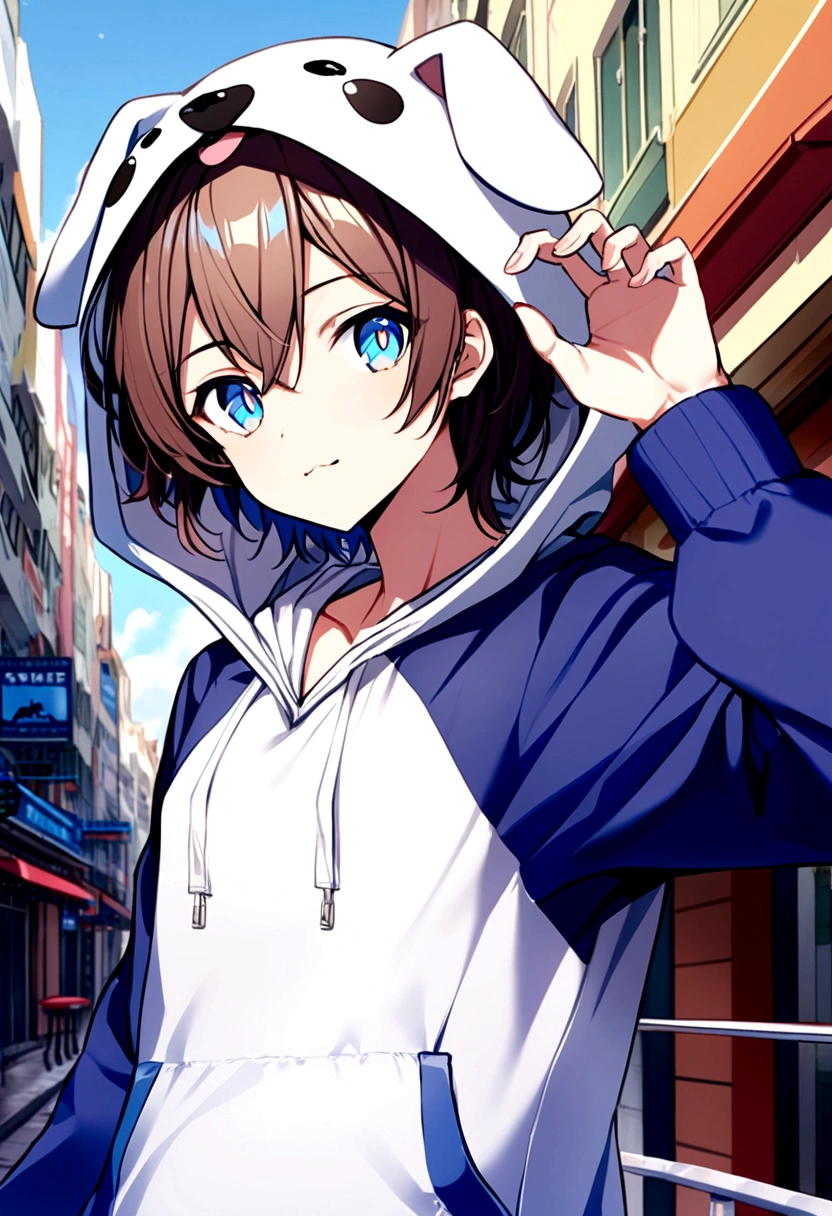 A cutie patootie, dog hoodie, favorite color is blue, male