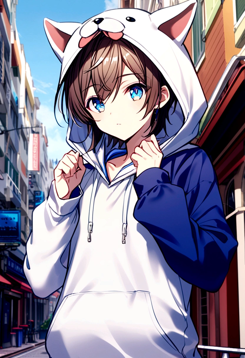 A cutie patootie male, dog hoodie, favorite color is blue, male