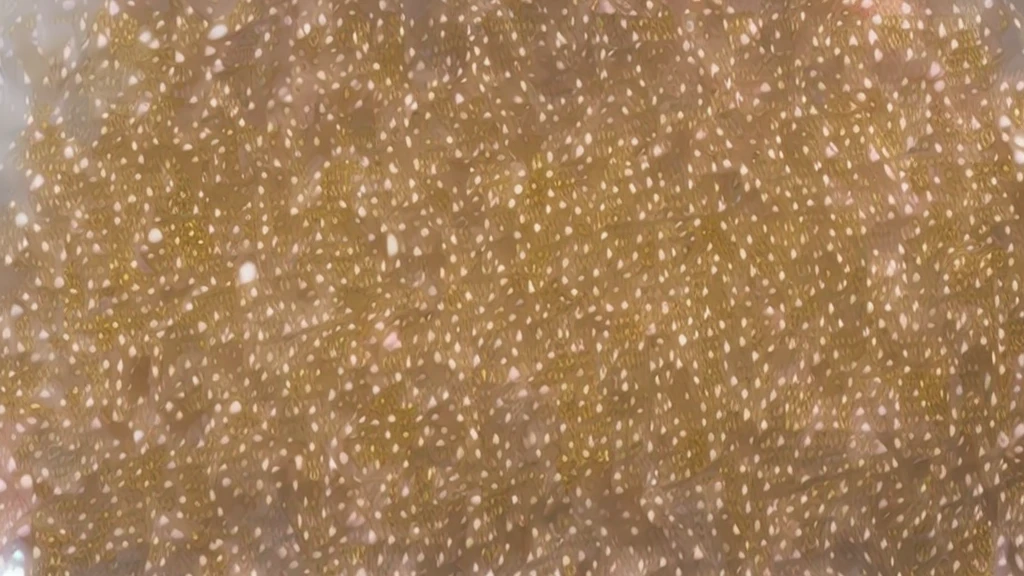 As if looking down(Best Quality:1.2), Super detailed, High resolution,delicate、Highest Quality Masterpiece:1,2, Vivid and colorful,Clench your teeth、Grit your teeth、 Senile, Professional Lighting, Physically Based Rendering, Flat Color:0.8, Detailed illustrations, Realism:1.37, Makoto Shinkai Style, Your name style, Light brown hair, Elegant update,ponytail, Hairstyles such as chignon, Laughing together, Dynamic pose, Selfie, Upper body full sister、necklace、Earrings、bracelet、watch。naked、Show off your full breasts, Areola、Nipples(1:8)、I love you 、Bitch(1:8)Lewd、Small breasts(1:8~、I can see the pubic hair、The genitals are visible(1:8)、The whole body is visible、Anime drawings、Illustration。land、The whole body is visible、All naked、cheek、lip