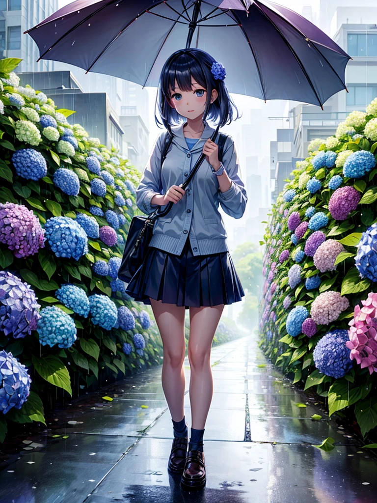 Highest quality,Highest Resolution,rainy season,A road lined with hydrangeas,High school girl walking with an umbrella,